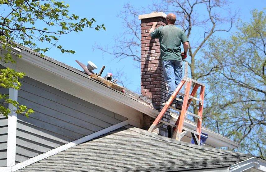 Chimney & Fireplace Inspections Services in Maitland, FL